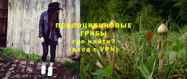 дурь Коряжма