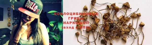 дурь Коряжма